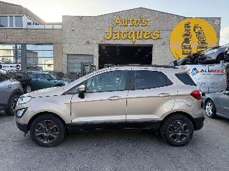 Auto incidentate Ford EcoSport 1.0I TREND 2019/1
