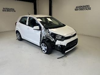 Unfallwagen Kia Picanto  2024/2