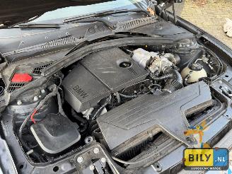 BMW 1-serie F20 118I N13 mineral-grau metallic picture 11