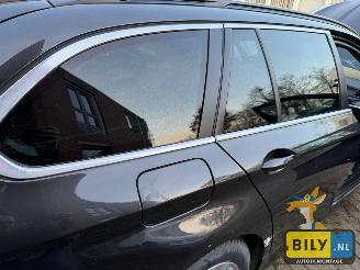 BMW 5-serie F11 1 520D N47  sophisto-grau Brillanteffekt metallic picture 24