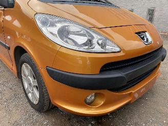 Peugeot 1007 DOLCE picture 3