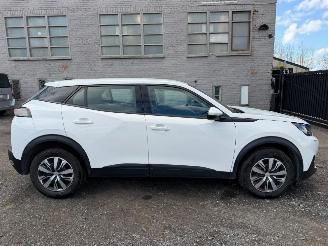  Peugeot 2008 II ACTIVE 2020/12