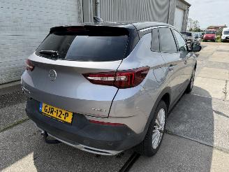 Opel Grandland 1.2 Turbo Business Executive Automaat picture 9