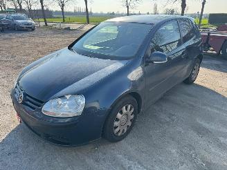  Volkswagen Golf  2006/1