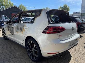 Volkswagen Golf Golf VII (AUA), Hatchback, 2012 / 2021 2.0 GTI 16V Performance Package picture 2