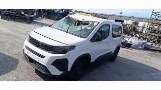 Uttjänta bilar auto Peugeot Rifter Rifter (ER/EC/EZ), MPV, 2018 e-Rifter 2025