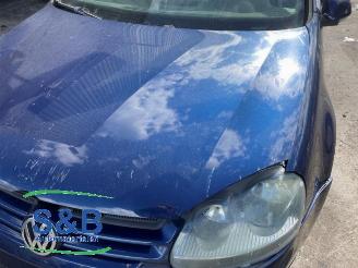 Volkswagen Golf Golf V (1K1), Hatchback, 2003 / 2010 1.6 FSI 16V picture 22