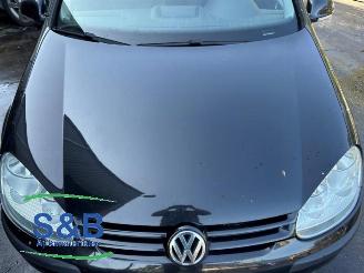 Volkswagen Golf Golf V (1K1), Hatchback, 2003 / 2010 1.9 TDI picture 19