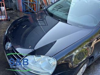 Volkswagen Golf Golf V (1K1), Hatchback, 2003 / 2010 1.9 TDI picture 22