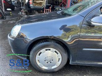 Volkswagen Golf Golf V (1K1), Hatchback, 2003 / 2010 1.9 TDI picture 10