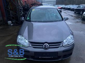 Volkswagen Golf Golf V (1K1), Hatchback, 2003 / 2010 1.4 16V 2005/12
