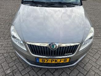 Skoda Fabia 1.2 TDI 12V Greenline Combi/o 4Dr Diesel 1.199cc 55kW (75pk) FWD 2010-05/2014-12  CFWA picture 9