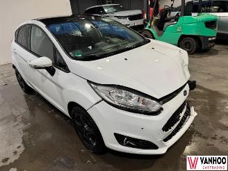 Ford Fiesta  picture 5