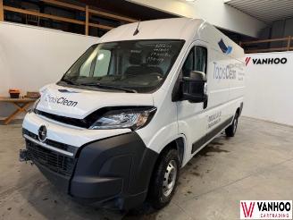 Avarii autoturisme Opel Movano  2024/11