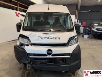 Opel Movano  picture 2