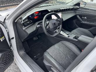 Peugeot 308 ELEKTRO -- ALLURE picture 21