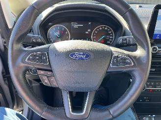 Ford EcoSport Active Navi,Winterpaket,Kamera picture 22