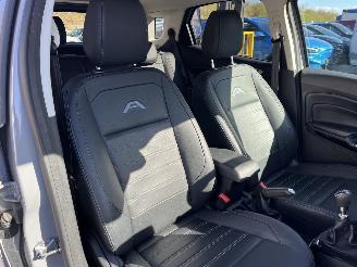 Ford EcoSport Active Navi,Winterpaket,Kamera picture 13