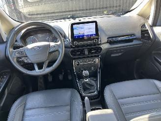 Ford EcoSport Active Navi,Winterpaket,Kamera picture 16