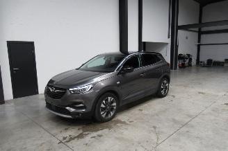  Opel Grandland SUV 2019/9