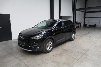 Vaurioauto  passenger cars Opel Grandland INNOVATION 2019/3