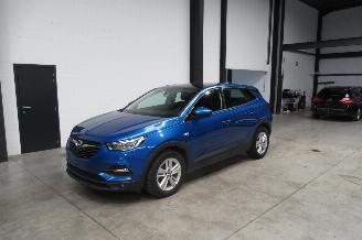  Opel Grandland SUV 2019/1