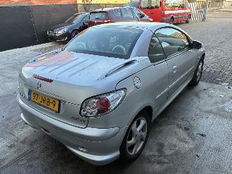 Peugeot 206 PEUGEOT 206cc 2004 1.6I picture 5