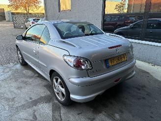 Peugeot 206 PEUGEOT 206cc 2004 1.6I picture 10