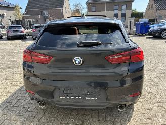 BMW X2 BMW X2 xDrive20d M 2019 picture 13