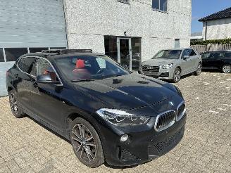 BMW X2 BMW X2 xDrive20d M 2019 picture 6