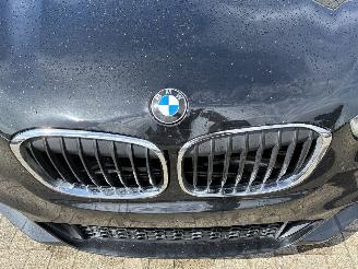 BMW X1 BMW X1 xDrive20d 2019 M picture 4