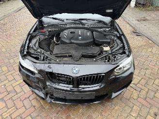BMW 2-serie 218i M PAKKET CABRIO picture 15