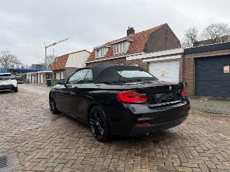 BMW 2-serie 218i M PAKKET CABRIO picture 11