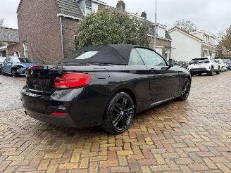 BMW 2-serie 218i M PAKKET CABRIO picture 9