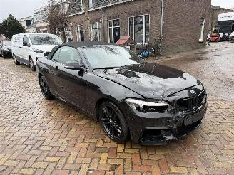 BMW 2-serie 218i M PAKKET CABRIO picture 7