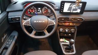 Dacia Sandero STEPWAY picture 17