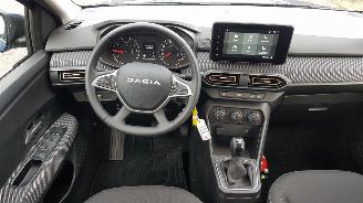 Dacia Sandero STEPWAY picture 18