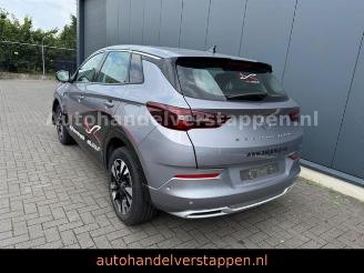 Coche accidentado Opel Grandland X PHEV 165KW Hybrit 2023/11