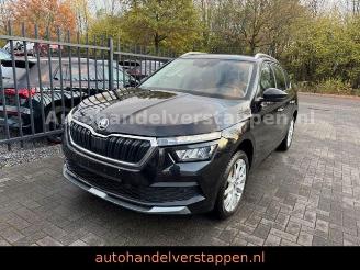 Avarii autoturisme Skoda Kamiq Ambition 1.0TSI Clever 81KW 2022/12