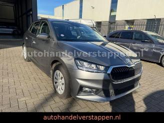 skadebil auto Skoda Fabia Ambition TSI 110KW Graphite Grey 2024/3