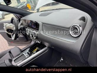 Mercedes EQA 250+ 71KWH LUXURY LINE Pano Burm Facelift picture 21
