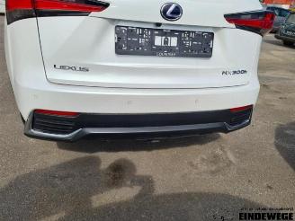 Lexus NX NX I (Z1), SUV, 2014 300h 2.5 16V 4x4 picture 32