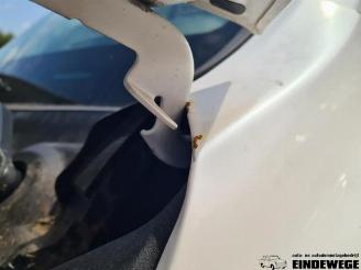 Lexus NX NX I (Z1), SUV, 2014 300h 2.5 16V 4x4 picture 26