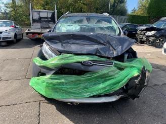 Ford EcoSport EcoSport (JK8), SUV, 2013 1.0 EcoBoost 12V 125 picture 6