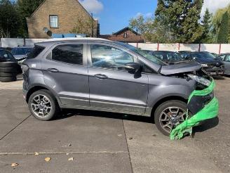 Ford EcoSport EcoSport (JK8), SUV, 2013 1.0 EcoBoost 12V 125 picture 7