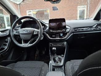 Ford Fiesta 1.0  hybrid  92kw  navi clima  titanium picture 8