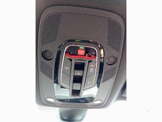 Audi SQ5 SQ5 (FYB/FYG), SUV, 2016 3.0 TFSI V6 24V picture 26