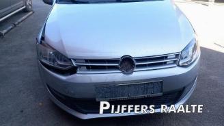 Volkswagen Polo Polo V (6R), Hatchback, 2009 / 2017 1.6 TDI 16V 90 picture 11