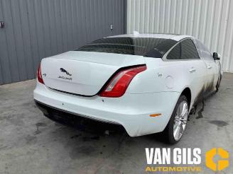 Vrakbiler auto Jaguar XJ XJ (X351), Sedan, 2009 / 2019 3.0 D V6 24V 2017/6