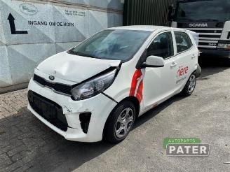 Purkuautot passenger cars Kia Picanto Picanto (JA), Hatchback, 2017 1.0 DPi 12V 2020/9